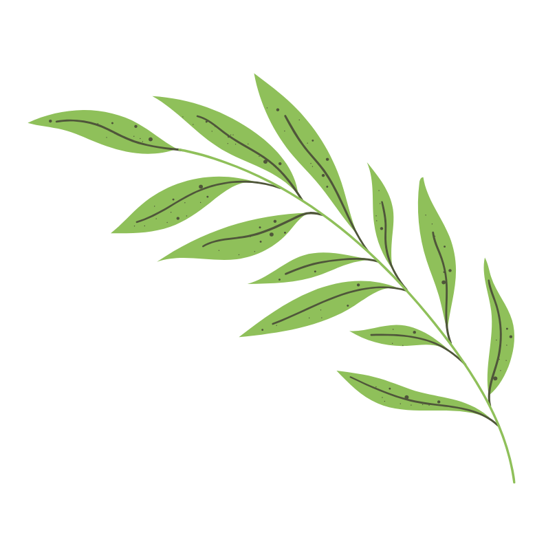 Isla formulas correcciones